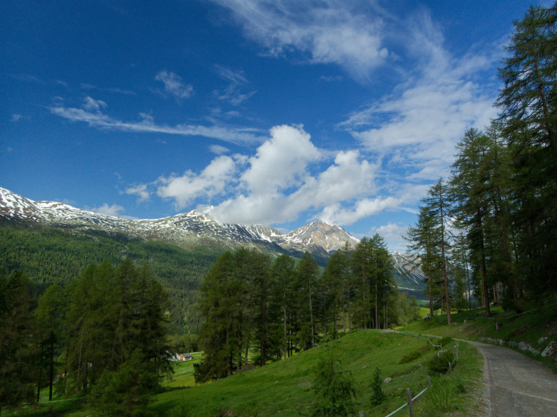 Basse-Engadine 2018
