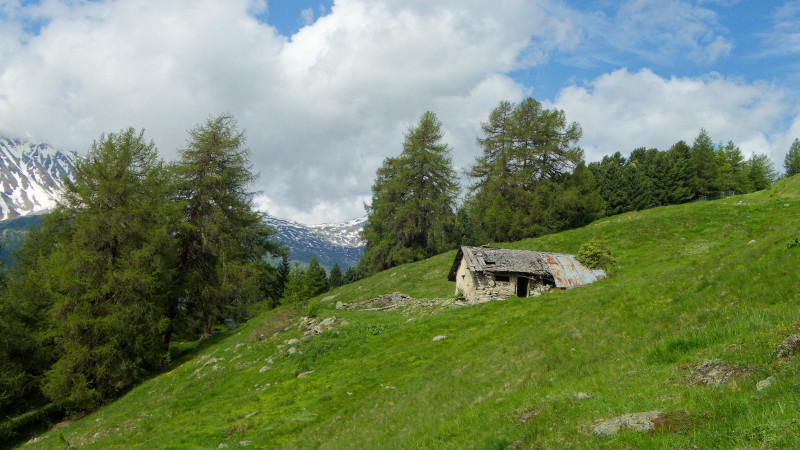 Basse-Engadine 2018