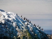 Norvège 2016
