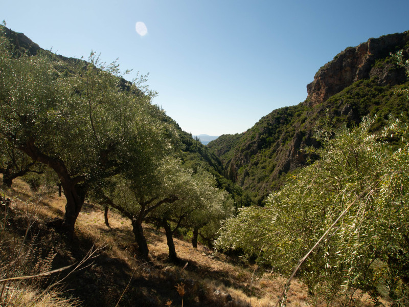 Taygète et Péloponèse