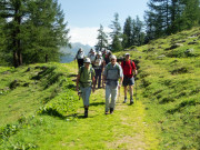 Sentier dans le Val Bedretto